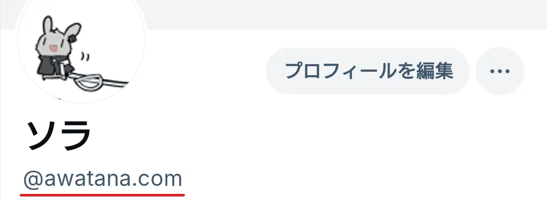 BlueSkyで@以降の文字列が自分のドメインになったことを確認出来る画面